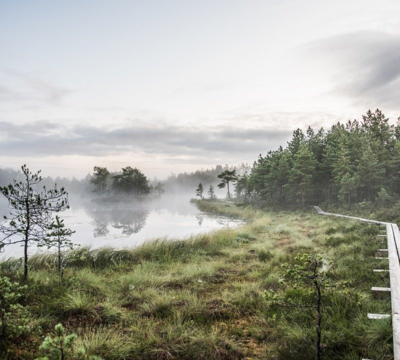 Angeli dell'accoglienza